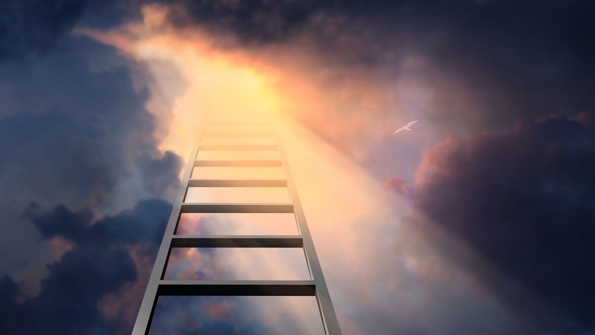 Lyn Leahz video interview!